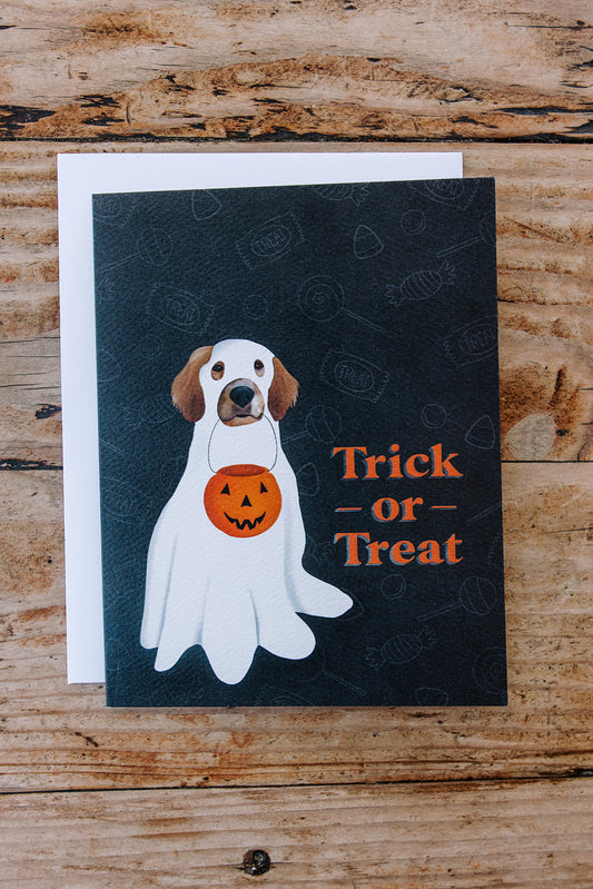 Trick Or Treat- Golden Retriever